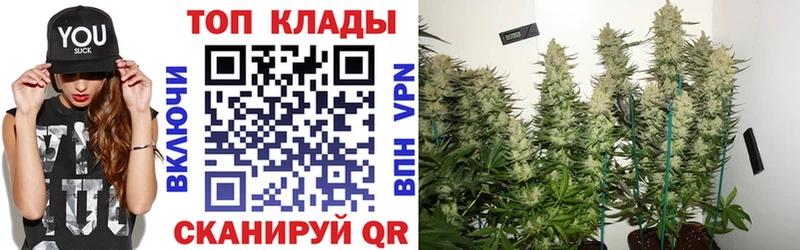 Магазины продажи наркотиков Кирс Cocaine  Мефедрон  A-PVP  АМФЕТАМИН  ГАШ 
