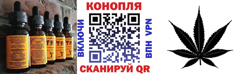 Cannafood конопля  Кирс 