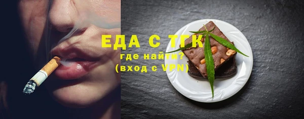гидра Ельня