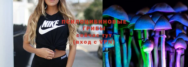 хмурый Елизово
