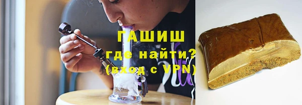 гидра Ельня