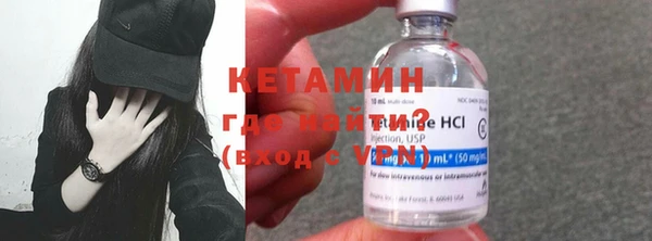 гидра Ельня