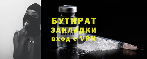гидра Ельня