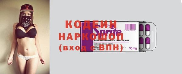 гидра Ельня