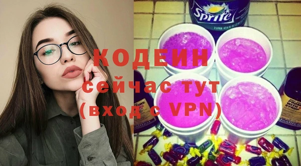 хмурый Елизово