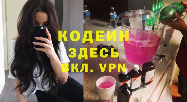 гидра Ельня
