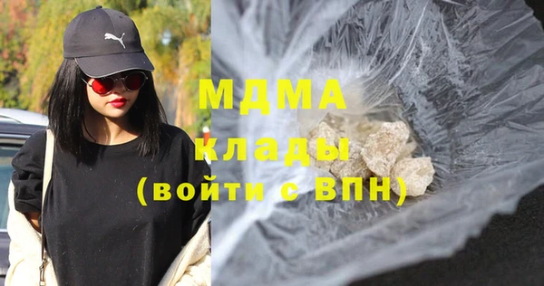 гидра Ельня