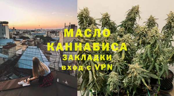 гидра Ельня