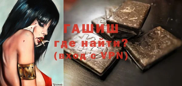 гидра Ельня